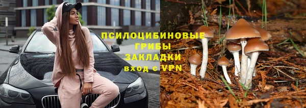 первитин Алексеевка