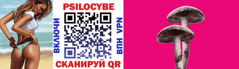 мориарти формула  цена   МЕГА маркетплейс  Кизилюрт  Галлюциногенные грибы Psilocybe 